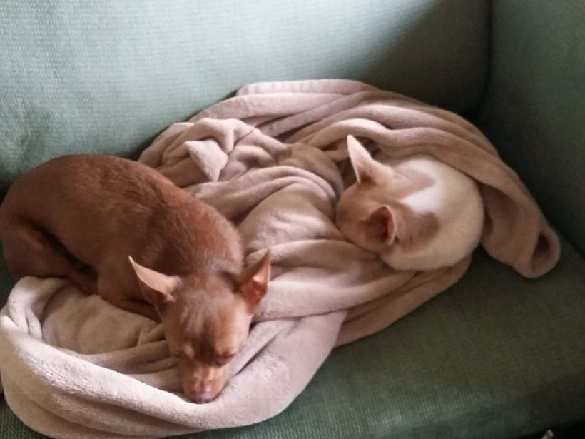 18519973_10203183974917475_1222448341903330180_n