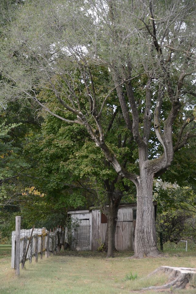 43342627_2239126642975159_6625554195921502208_n